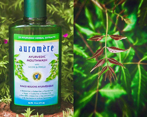A split image pairs a green Auromere Ayurvedic Mouthwash bottle among foliage with a close-up of slender leaves branching from a reddish stem, lit by sunlight against a green background.