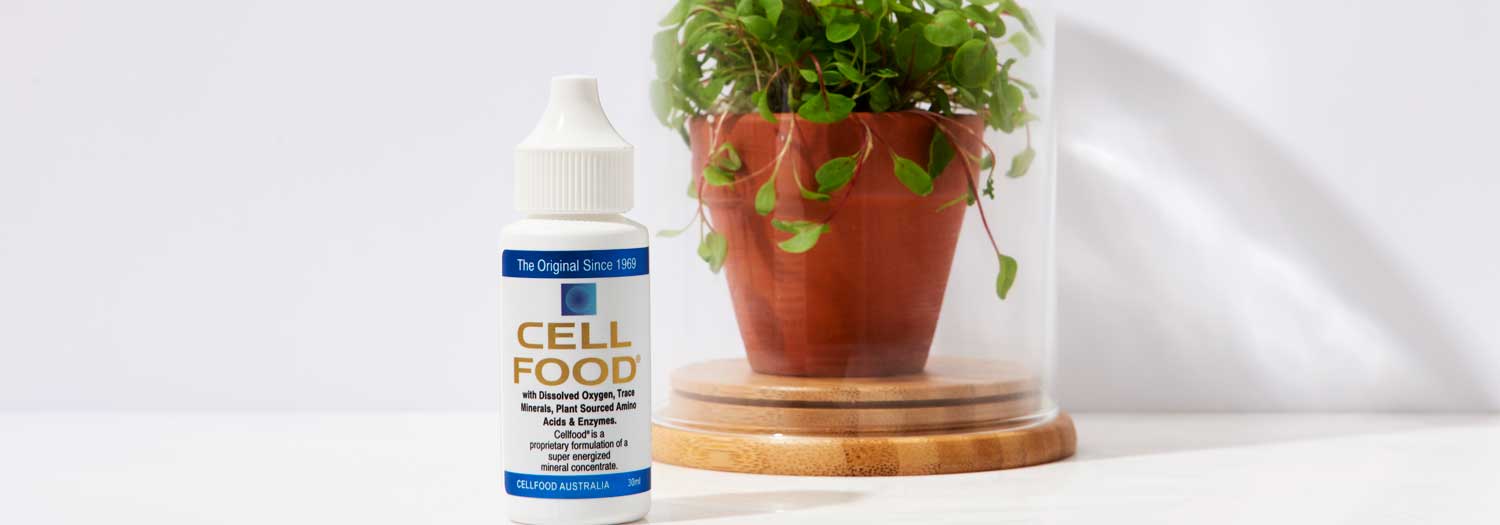 A white bottle labeled Cell Food stands next to a small potted plant covered by a glass dome, set on a white surface with a bright, minimalist background.
