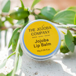 The Jojoba Company Jojoba Lip Balm lifestyle photo