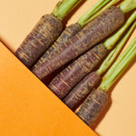 Fresh purple carrots, a key ingredient in Andalou Brightening Purple Carrot + Vitamin C Luminous Night Cream