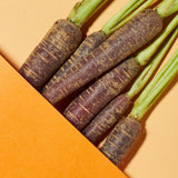 Fresh purple carrots, a key ingredient in Andalou Brightening Purple Carrot + Vitamin C Luminous Night Cream