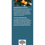 New Nordic Active Magnesium Citrate box side with citrus ingredient information