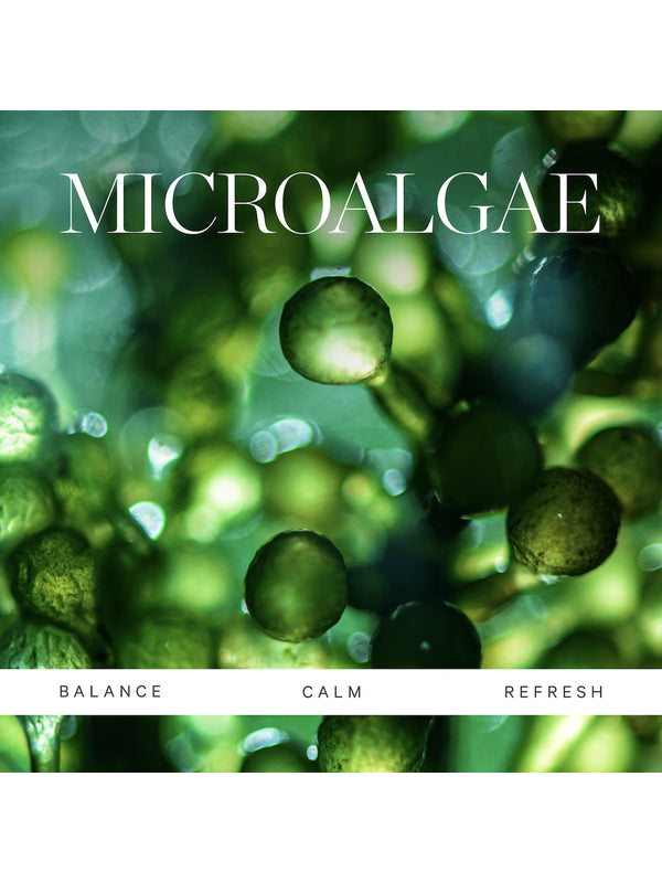 Active algae key ingredient panel for KORA Organics Nourishing Hand and Body Lotion