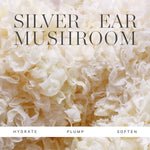 Silver ear mushroom key ingredient panel for KORA Organics Renewing Hand and Body Wash