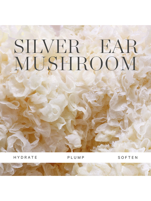 Silver ear mushroom key ingredient panel for KORA Organics Renewing Hand and Body Wash