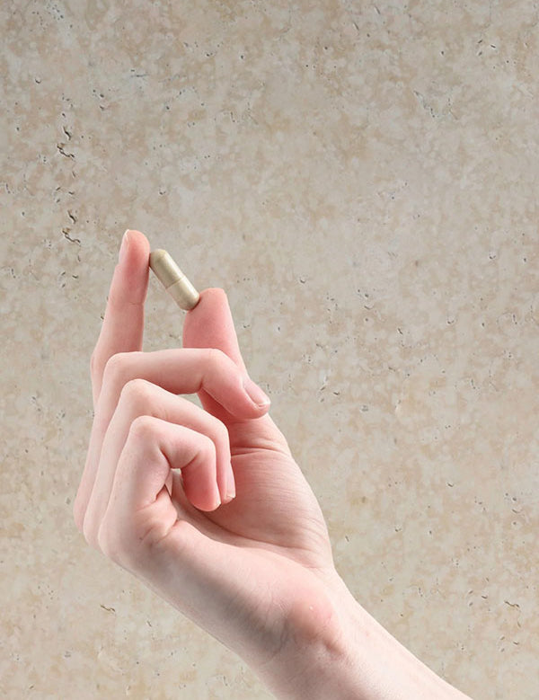 Hand holding a single Herbs of Gold Resveratrol AdvantAGE capsule