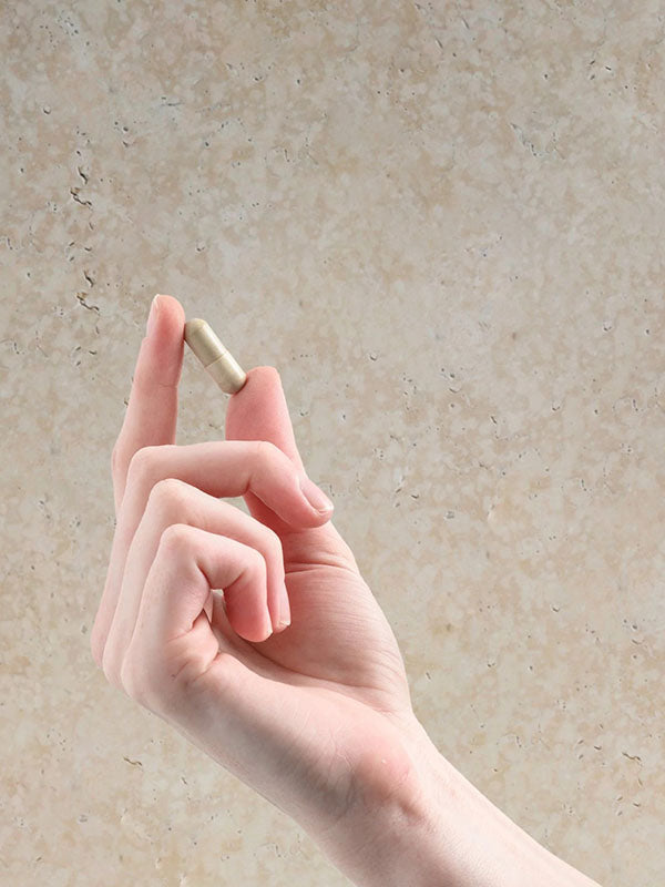 Hand holding a single Herbs of Gold Resveratrol AdvantAGE capsule