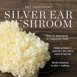 Silver ear mushroom, the hydrating key ingredient in KORA Organics Milky Mushroom Ultra-Hydrating Mask