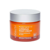 Andalou Brightening Purple Carrot + Vitamin C Luminous Night Cream 50g