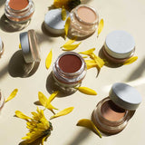 Ere Perez Arnica All-Cover Pot