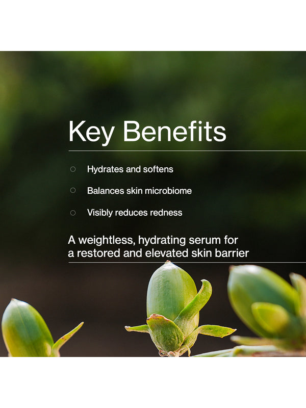 Key benefits panel for The Jojoba Company Probiotic Jojoba Milk