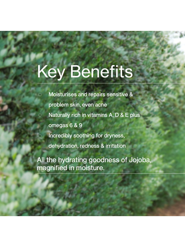 Key benefits panel for The Jojoba Company Pure Jojoba Gel Mask