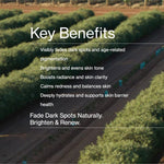 Key benefits panel for The Jojoba Company Pigmentation Oil
