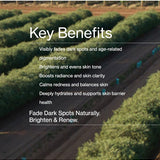 Key benefits panel for The Jojoba Company Pigmentation Oil