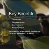 Key benefits panel for The Jojoba Company Citrus Gel Cleanser