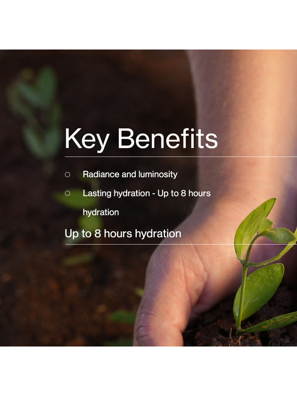 Key benefits panel for The Jojoba Company Illuminating Jojoba