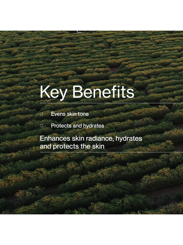 Key benefits panel for The Jojoba Company Illuminating Tinted Moisturiser SPF15
