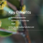 Key benefits panel for The Jojoba Company Jojoba Lip Balm