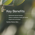 Key benefits panel for The Jojoba Company Daily Glow Exfoliating PHA Tonic