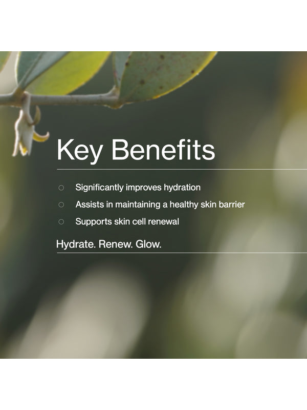 Key benefits panel for The Jojoba Company Daily Glow Exfoliating PHA Tonic