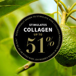 Stimulates collagen up to 51 percent claim panel for Antipodes Divine Face Oil