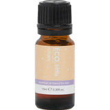 A 10ml amber glass bottle with black cap and pale orange label, reading "ECO. Modern Essentials Little Lullaby Essential Oil Blend," contains pure essential oils to support restful sleep for kids.