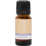 The ECO. Modern Essentials Little Lullaby Essential Oil Rollerball 10ml is a calming sleep aid for kids. The small amber bottle with black cap has a soft peach label featuring white and purple text plus decorative icons.