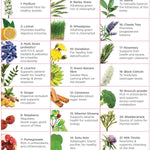 Natural Health by Meah Fem21 21-ingredient guide