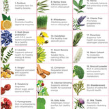 Natural Health by Meah Fem21 21-ingredient guide