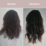 Before and after hair growth comparison using Tropeaka Hair Complex