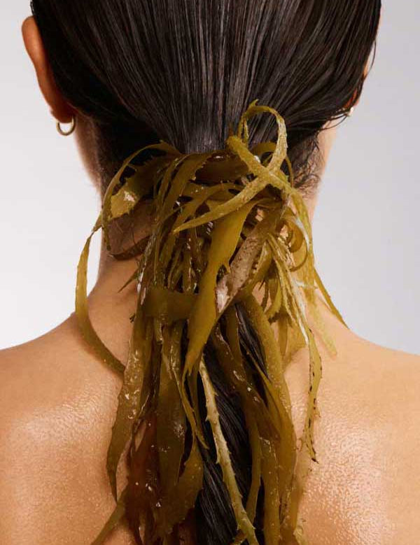 A person with wet, dark hair in a ponytail, adorned with long green seaweed strands, representing the natural support for hair growth offered by The Beauty Chef Hair Biotic™ 60 caps. Shot from behind, the hair stands out against a plain background.