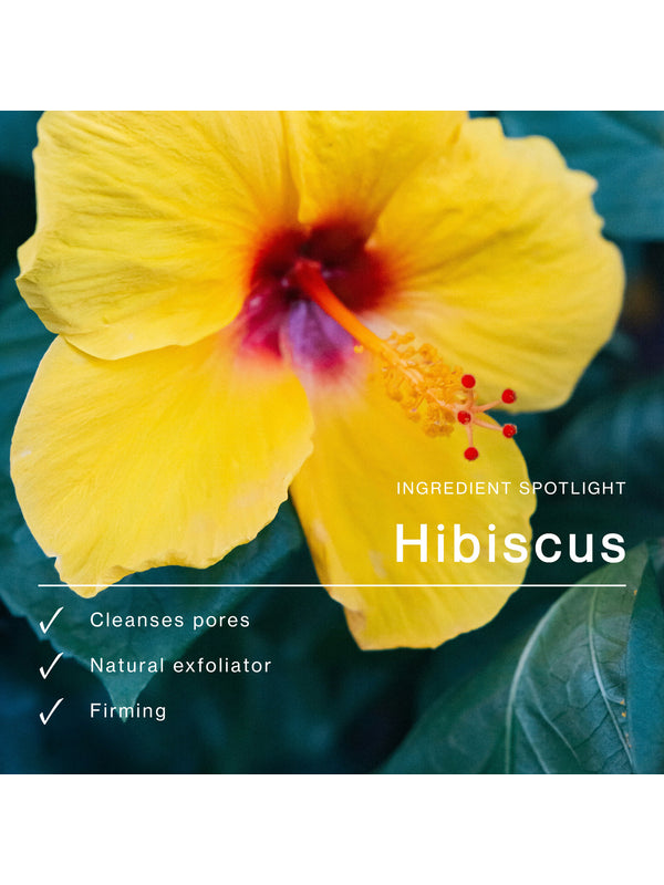 Hibiscus ingredient panel for The Jojoba Company Daily Glow Exfoliating PHA Tonic