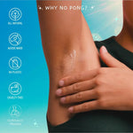 Why No Pong product information