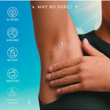 Why No Pong product information