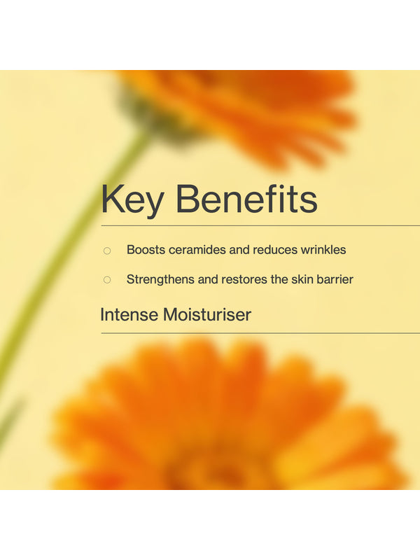 Key benefits panel for The Jojoba Company Jojoba Intense Moisture Balm