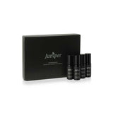 Juniper Aromatherapy Cognitive Support + Wellbeing Collection