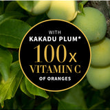 Pale green Kakadu plums among green leaves behind a black and gold circular label. The Antipodes Kiwi Seed Gold Eye Cream graphic claims Kakadu plum contains 100 times the vitamin C of oranges.