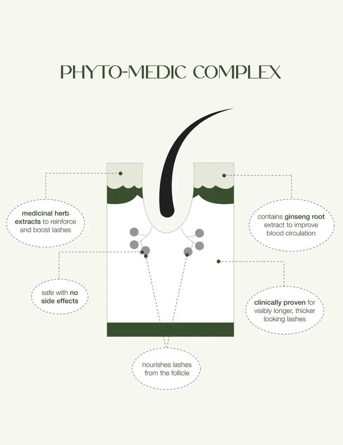 Diagram of an eyelash follicle showing how Lashfood Phyto-Medic Eyelash Enhancing Serum 3ml, with medicinal herbs, ginseng root, and an Ecocert certified formula, nourishes lashes for longer, thicker results—clinically proven with no side effects.