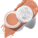An open pot of Toffee Long Last Concealer rests on a matching warm tan smear. The white lid beside the pot has a fine botanical drawing of leaves and berries.