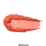 A vegan coral-orange swatch of 100% Pure Fruit Pigmented® Blush 9g, smudged oval on white with the label Mimosa in black below, evokes a natural flush; product by 100% Pure.