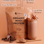 A pack of Nutra Naturals Organic Whey Protein Chocolate 750g sits beside a glass of chocolate protein shake, chocolate pieces, and a spoon of powder, highlighting its grass-fed whey, rich BCAAs, and organic health benefits.