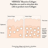 Diagram showing how Nutra Naturals Collagen Beauty Caramel 225g supports collagen production in skin layers, helping reduce fine lines and boost hydration in the dermis and epidermis with bioactive collagen peptides.