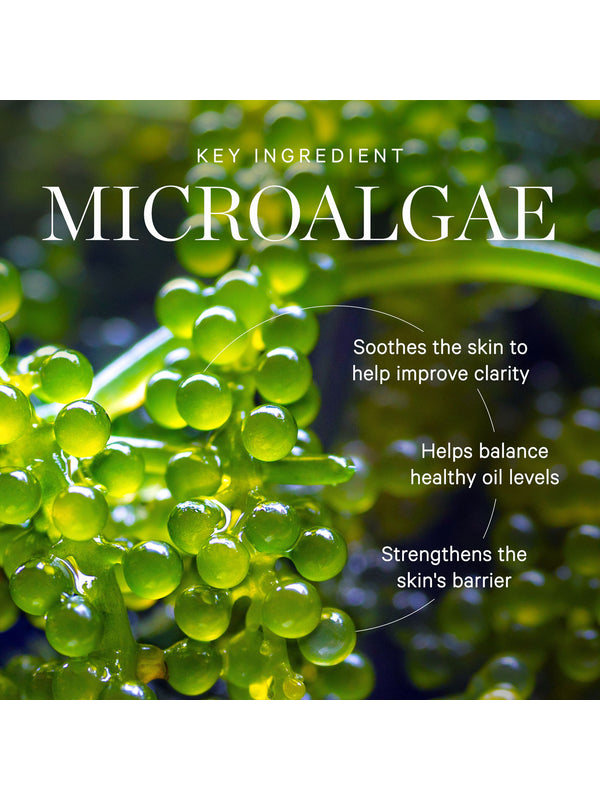 Active algae, the calming key ingredient in KORA Organics Active Algae Calming Cleansing Balm