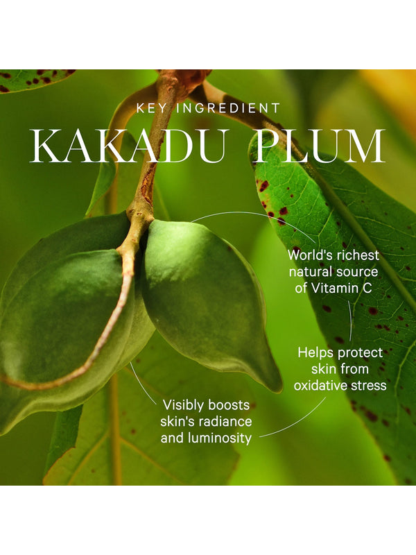 KORA Kakadu Plum ingredient graphic showing two green oval fruits hanging among leaves. Text calls it the world's richest natural vitamin C source and says it boosts skin radiance and helps protect against oxidative stress.