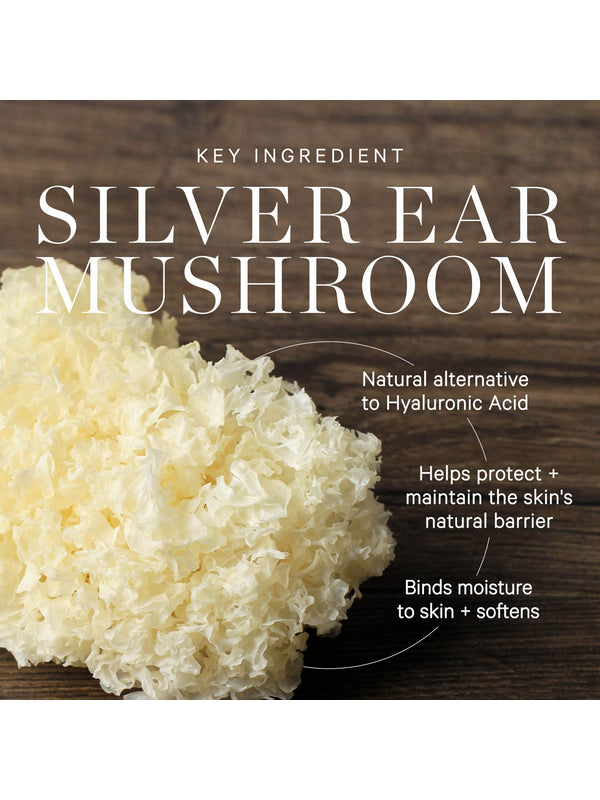 Silver ear mushroom, the hydrating key ingredient in KORA Organics Milky Mushroom Gentle Cleansing Oil