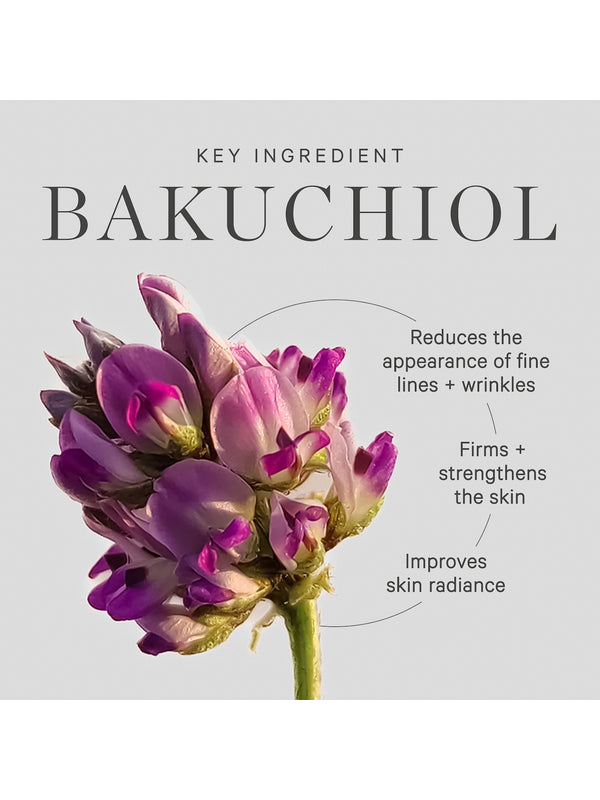 Bakuchiol, the plant-based retinol alternative in KORA Organics Plant Stem Cell Retinol Alternative Serum