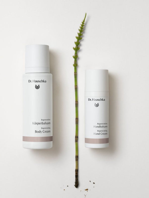 Dr Hauschka Regenerating Body Cream and Hand Cream