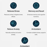 Melrose FutureLab Neuro-Stress Modulator