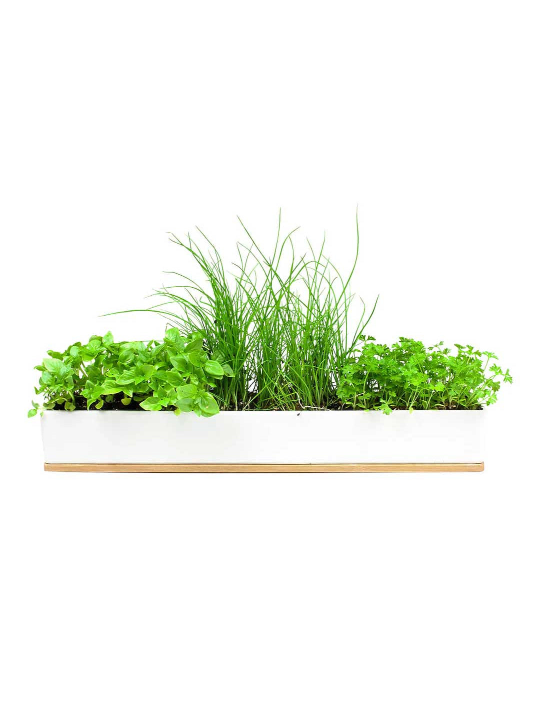 The Urban Greens Windowsill Grow Kit Microherbs features a rectangular white planter box with assorted green herbs, such as parsley, chives, and oregano, planted in soil against a white background.