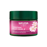 A 40ml jar of Weleda Smoothing Night Cream - Wild Rose & White Tea, with a green lid and pink floral label, hydrates skin, reduces first lines and wrinkles, and helps strengthen the skin barrier for a smoother appearance.